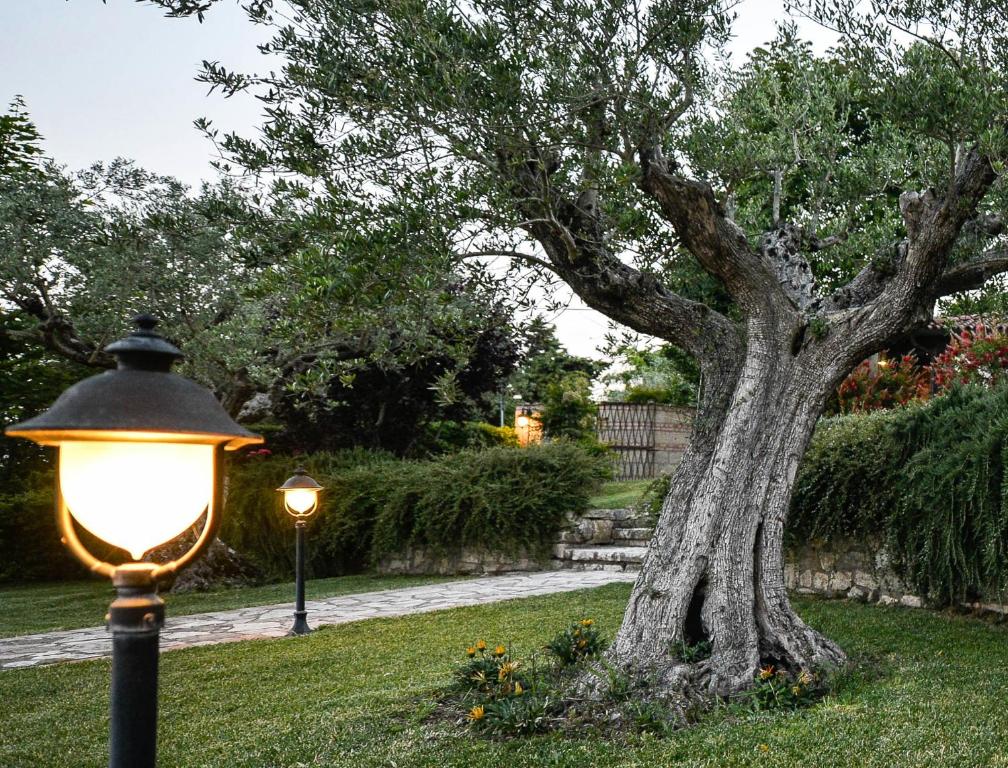 Ogród w obiekcie HURZ - giardino sannita