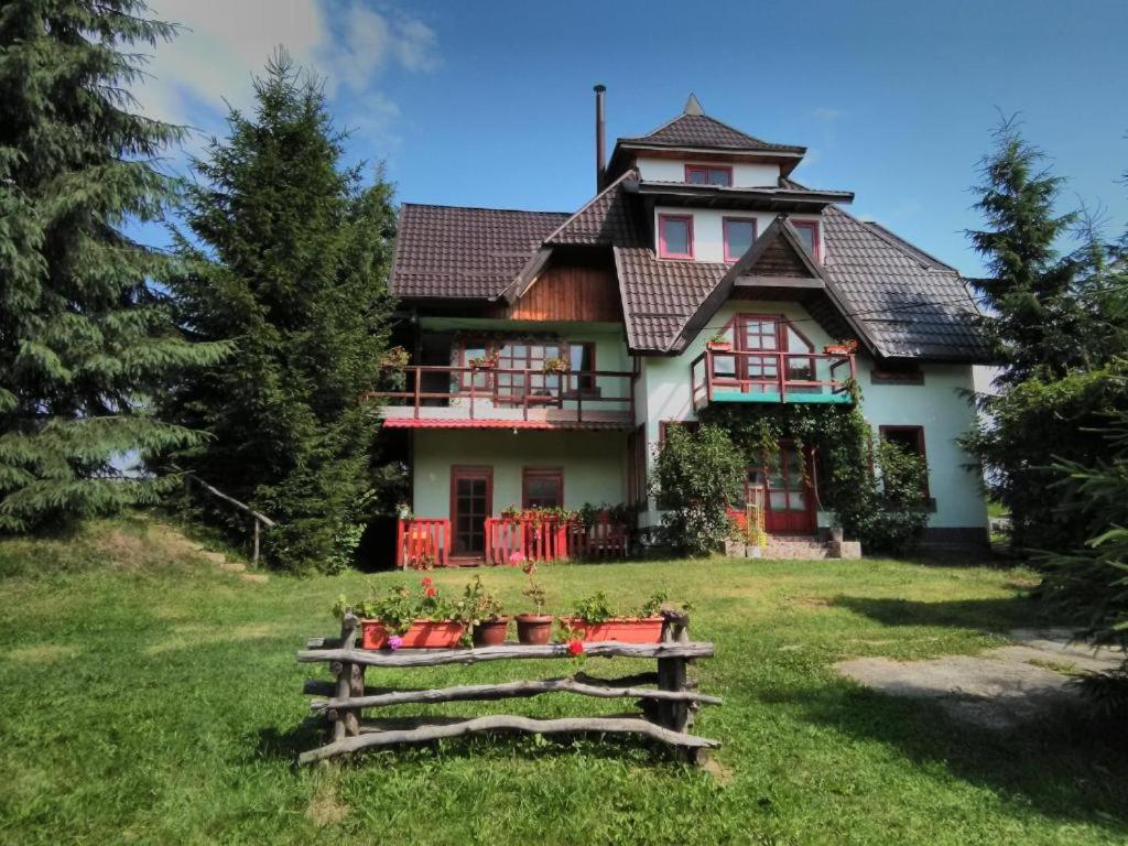 a house with potted plants in front of it at casa paltin vila si cabane in Poiana Stampei