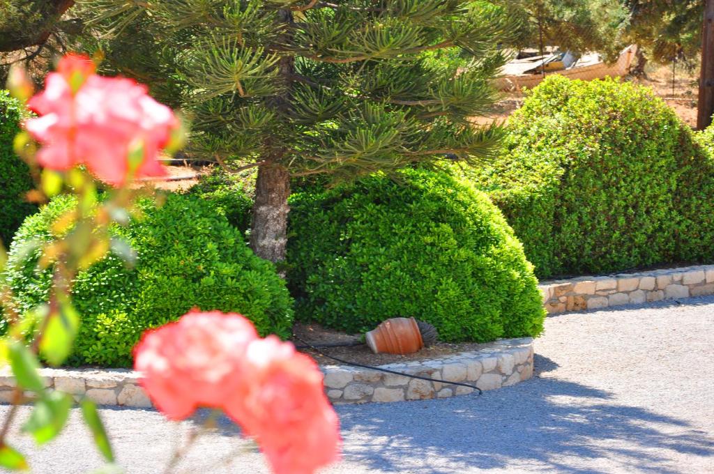 a garden with bushes and a tree and red flowers at Lagos Studios & Apartments in Palekastron