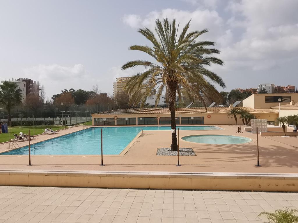 une piscine avec un palmier en face d'un bâtiment dans l'établissement South Beach, à Portimão