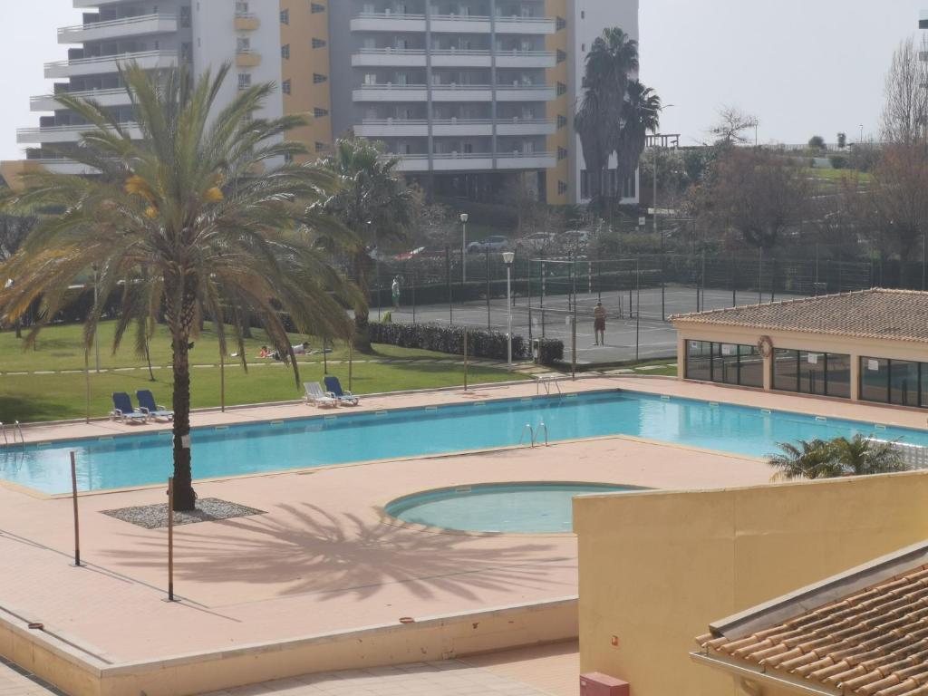 Bazén v ubytování South Beach nebo v jeho okolí