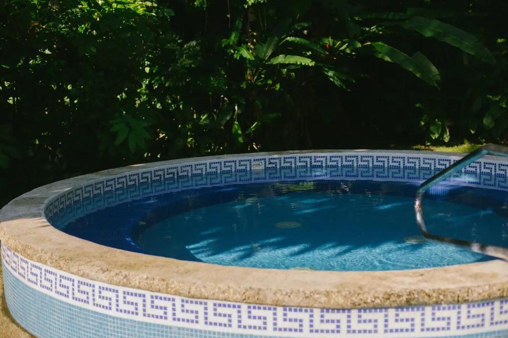 Bazén v ubytování Hotel Nututun Palenque nebo v jeho okolí