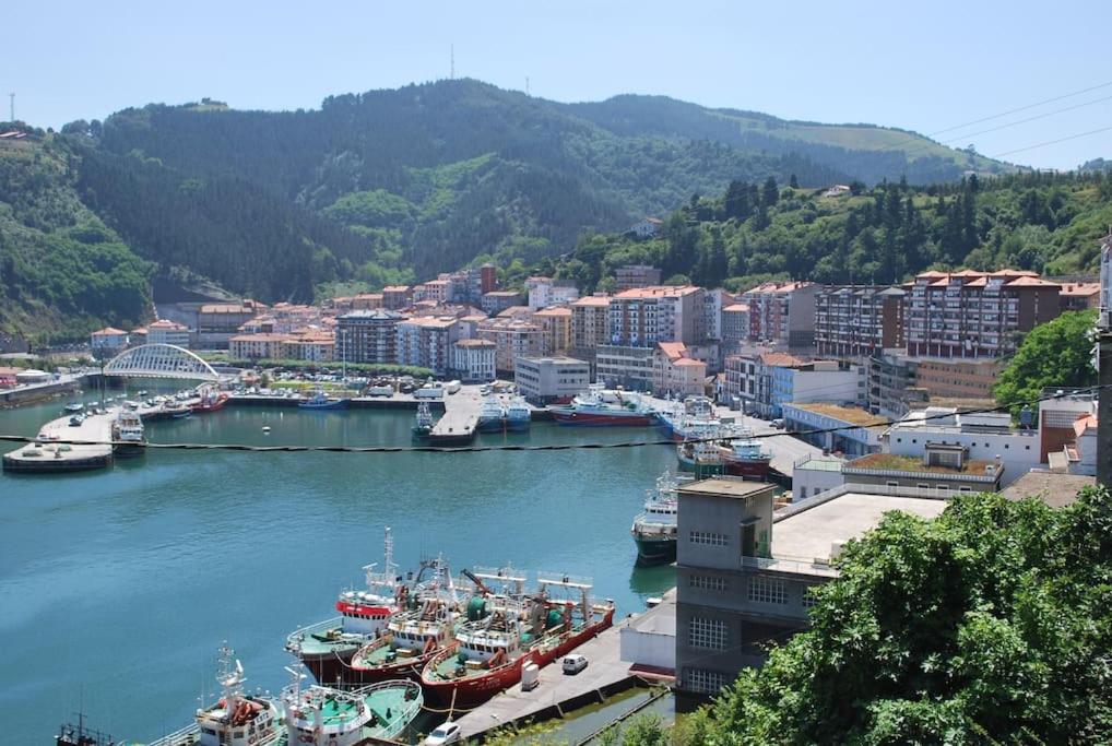 a group of boats docked in a harbor at Playa monte y mar, casa a 5 minutos del mar in Ondárroa
