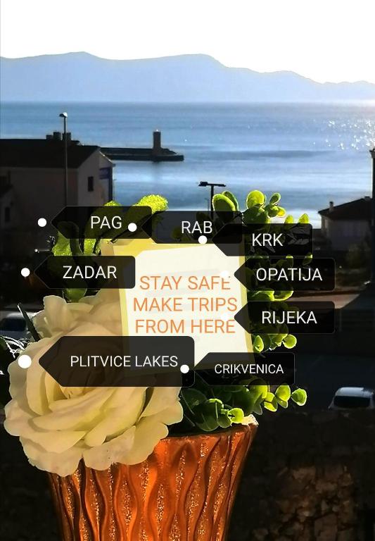 Beautyful sea view 6 luxury studio Danijela 1 - 2