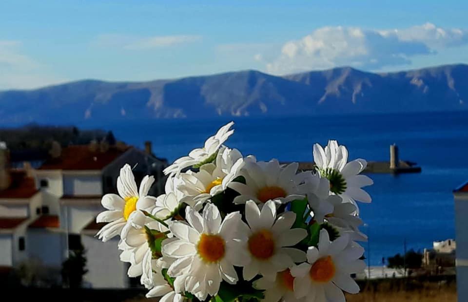 Beautyful sea view 6 luxury studio Danijela 1 - 8