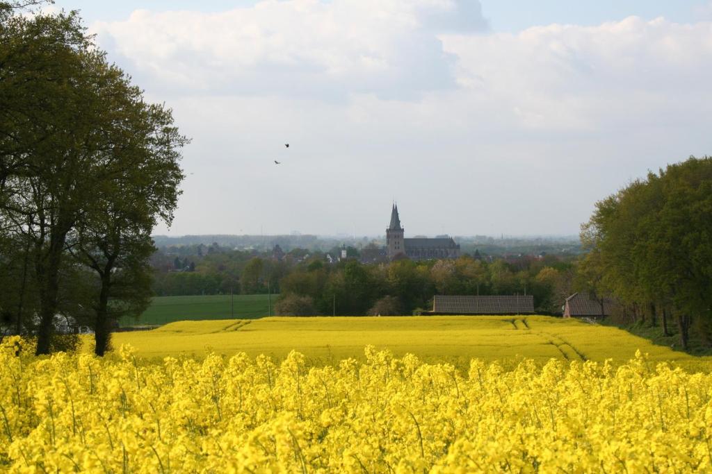 um campo de colza amarela com uma igreja ao fundo em Blockhütte M o e r e n h o f Xanten em Xanten