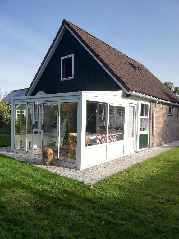 Ferienhaus In Holland Nordsee Mit Hund