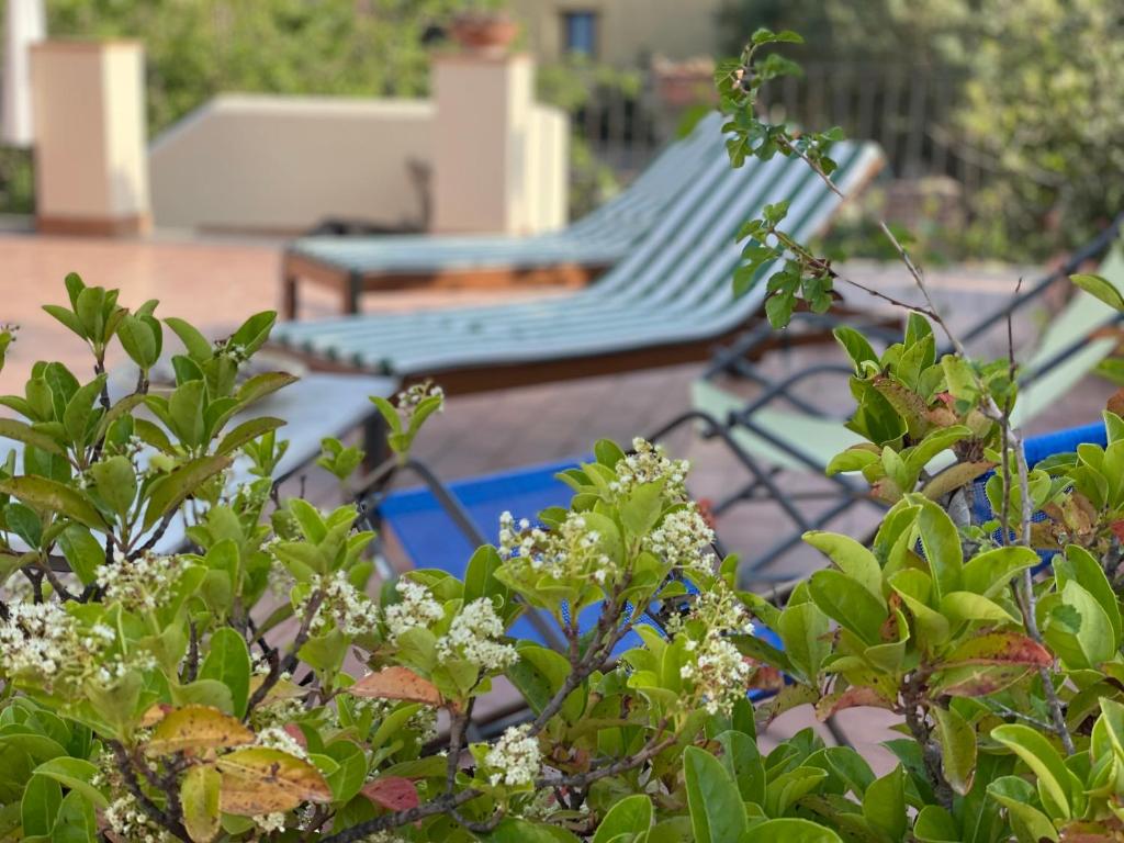 A garden outside Casa del Geco