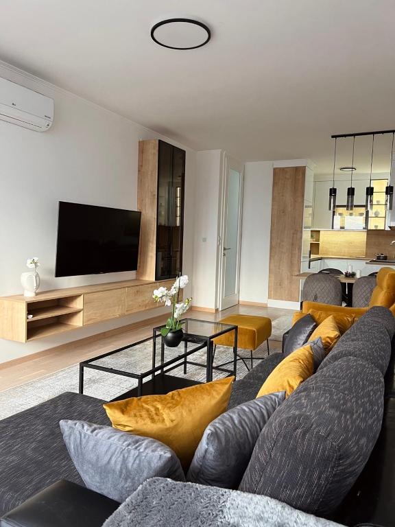 Luxury Apartment Kadic في سراييفو: غرفة معيشة مع أريكة وتلفزيون