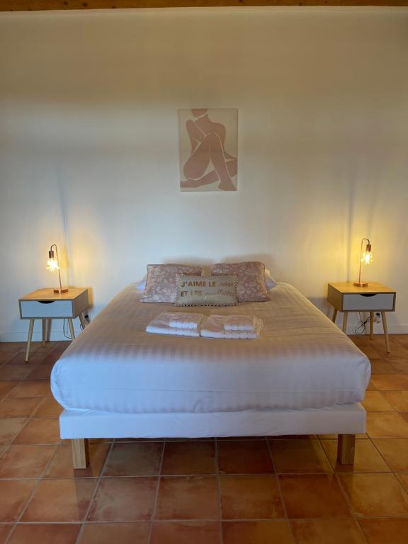 Postel nebo postele na pokoji v ubytování LAURAGUEL CHAMBRES D'HÔTES