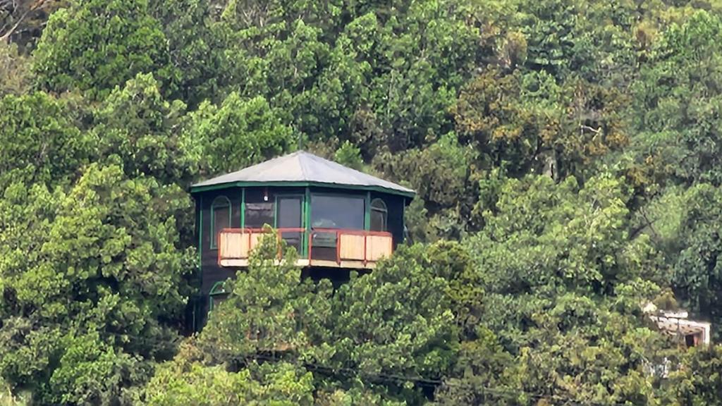 a tree house in the middle of a forest at HOSTAL TORRE DEL ESPAÑOL in Valdivia