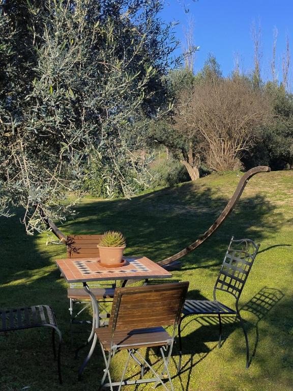 A garden outside Tenuta Bussete Country Hotel