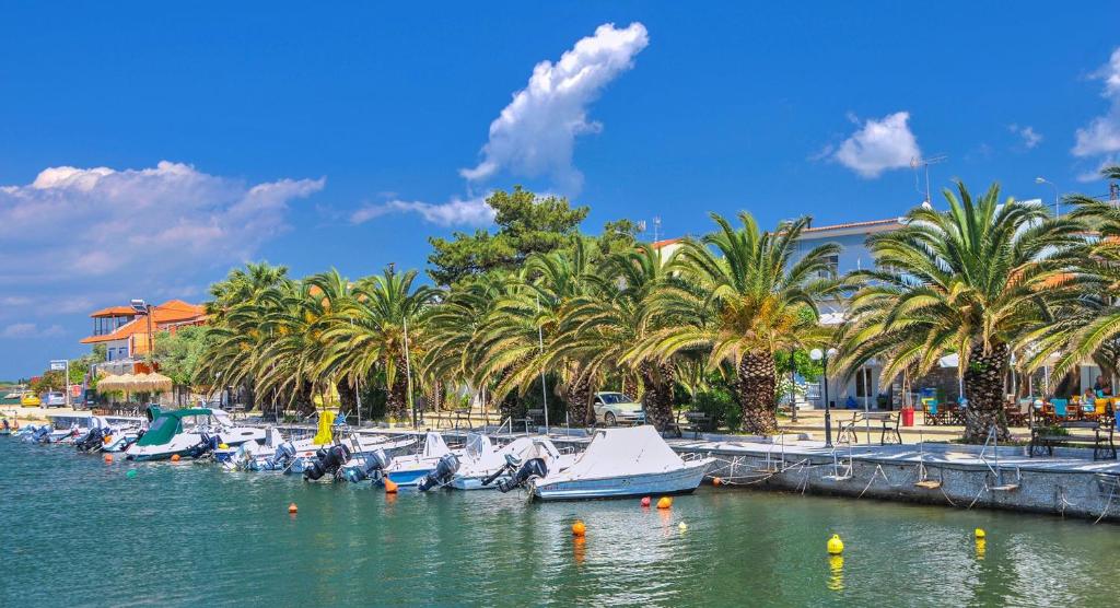 a group of boats parked in a harbor with palm trees at Villa Le Tresor in Skala Kallirakhis