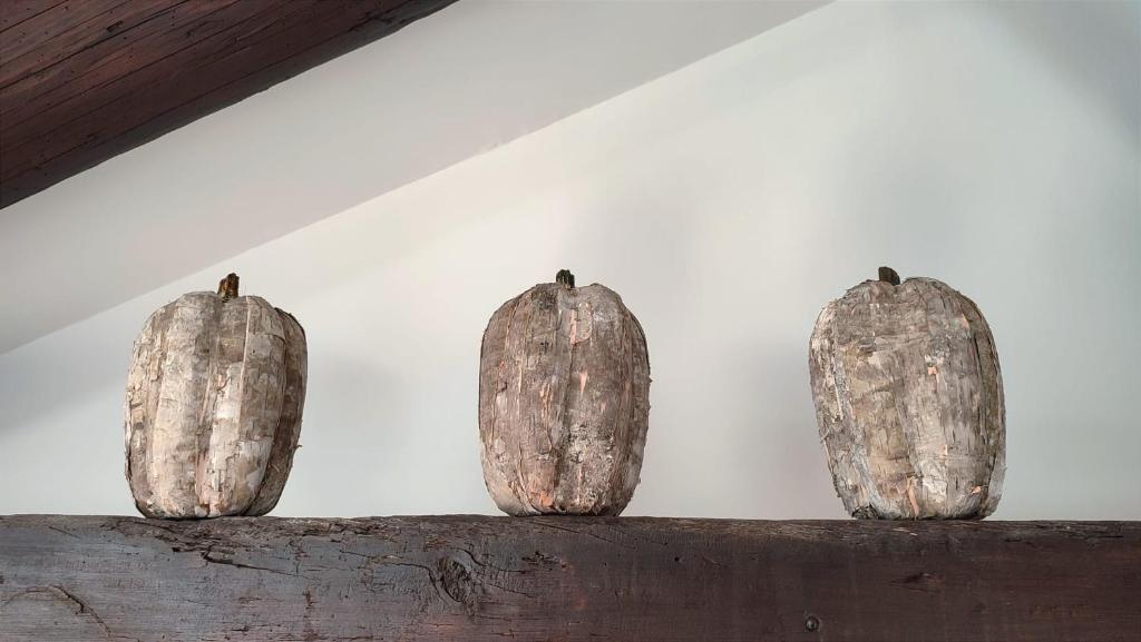 Zdjęcie z galerii obiektu Uzès, au cœur du centre médiéval La Boussole d'Uzès, appartement de caractère du XVII -ème siècle w mieście Uzès