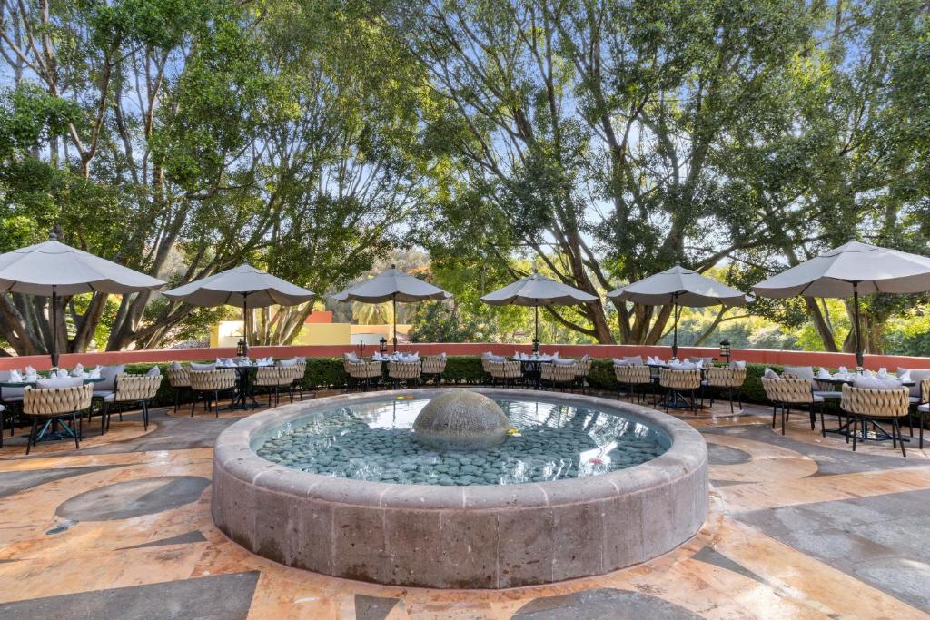 Κήπος έξω από το Hotel Rancho San Diego Grand Spa Resort
