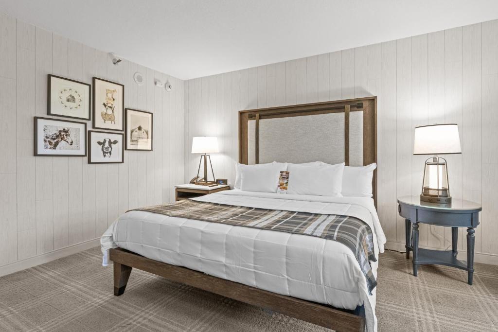 Knott's Hotel - 