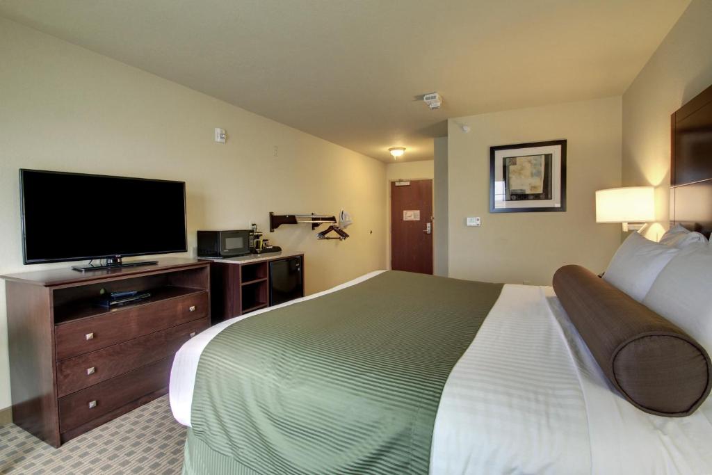 Cobblestone Hotel & Suites - Waynesboro - King Room - Disability Access