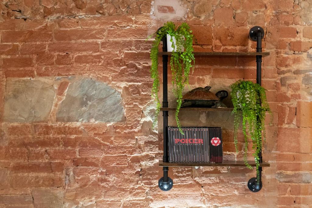 Luxury Apartament Florence - 9