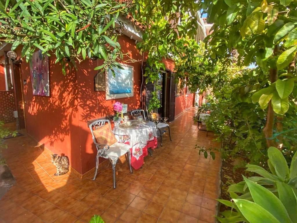 Zahrada ubytování Mordelliya Private Jacuzzi Suites
