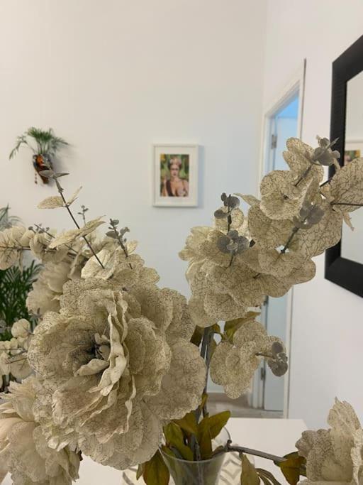 Fotografia z galérie ubytovania Casa Mina Cadiz v destinácii Cádiz