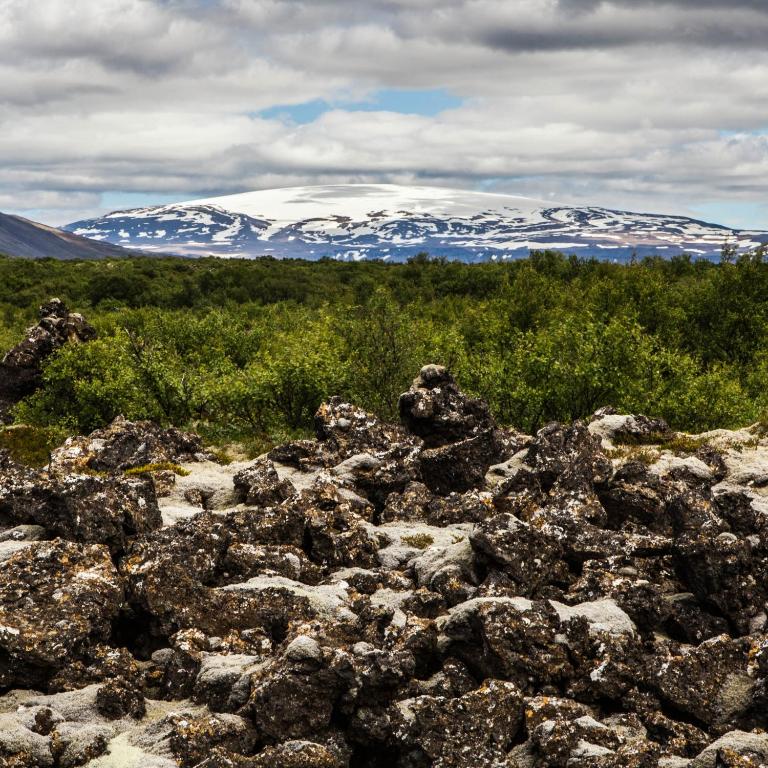 Náttúran í nágrenni hótelsins