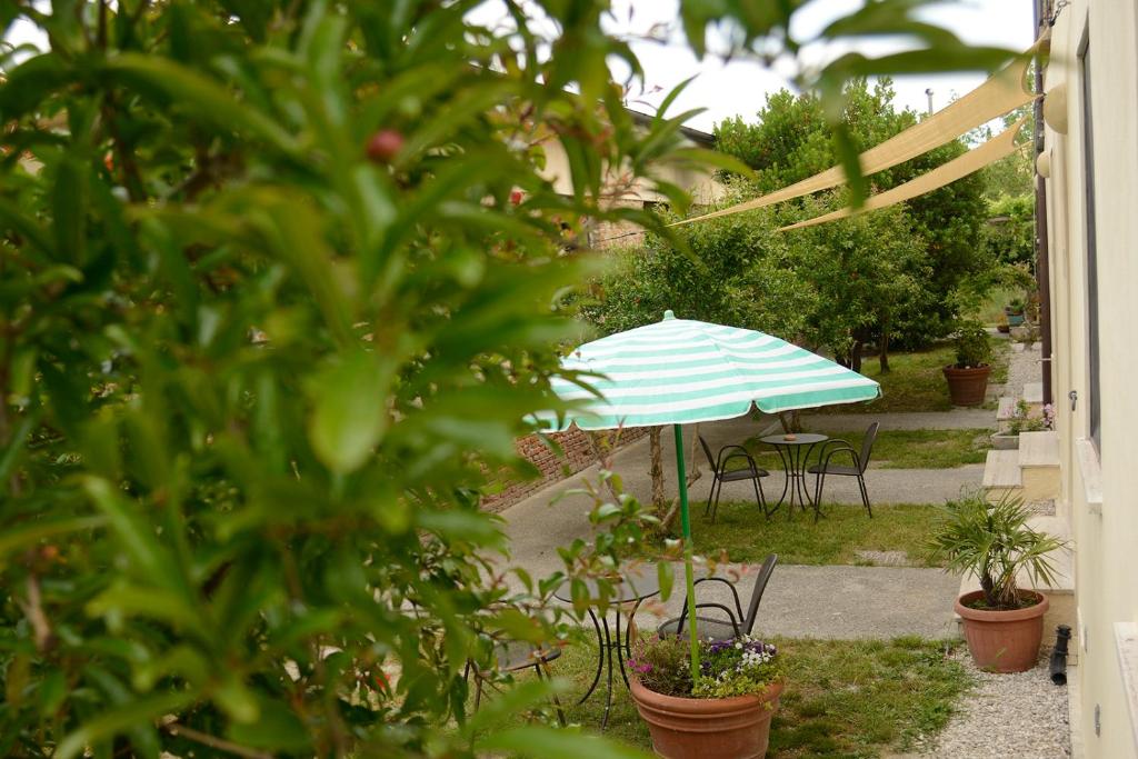 A garden outside Casa del Geco