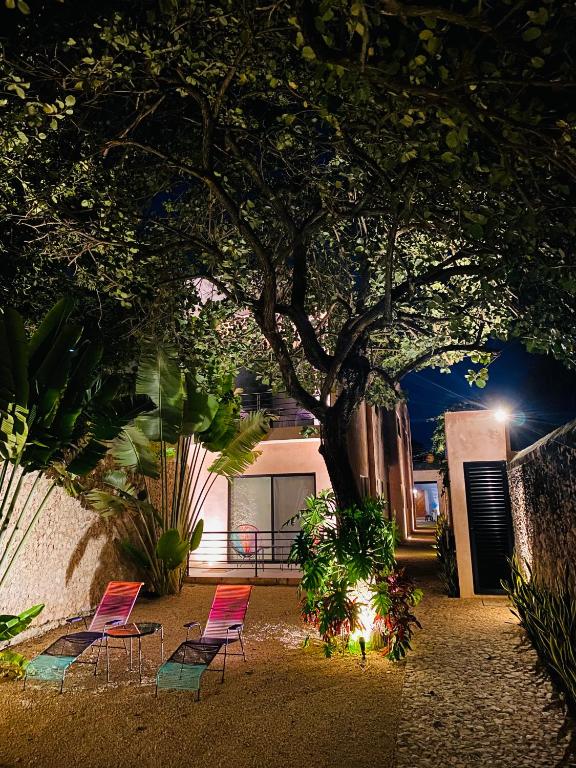 Jardí fora de Hotelito YUM KAAX
