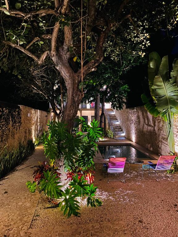 Jardí fora de Hotelito YUM KAAX