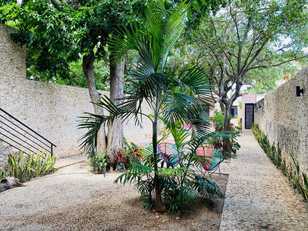 Jardí fora de Hotelito YUM KAAX