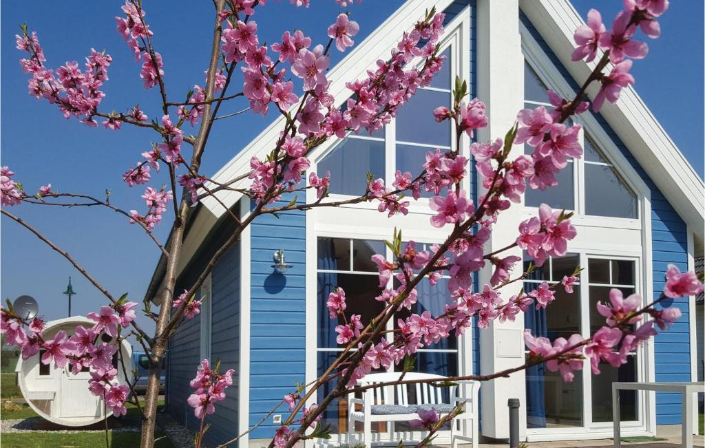 une maison avec des magnolias roses devant elle dans l'établissement Maison Bleu, à Zerpenschleuse