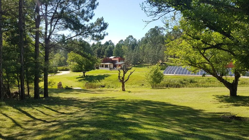 um campo com árvores e uma casa ao fundo em Casona de Campo Los Nogales em Santa Rosa de Calamuchita