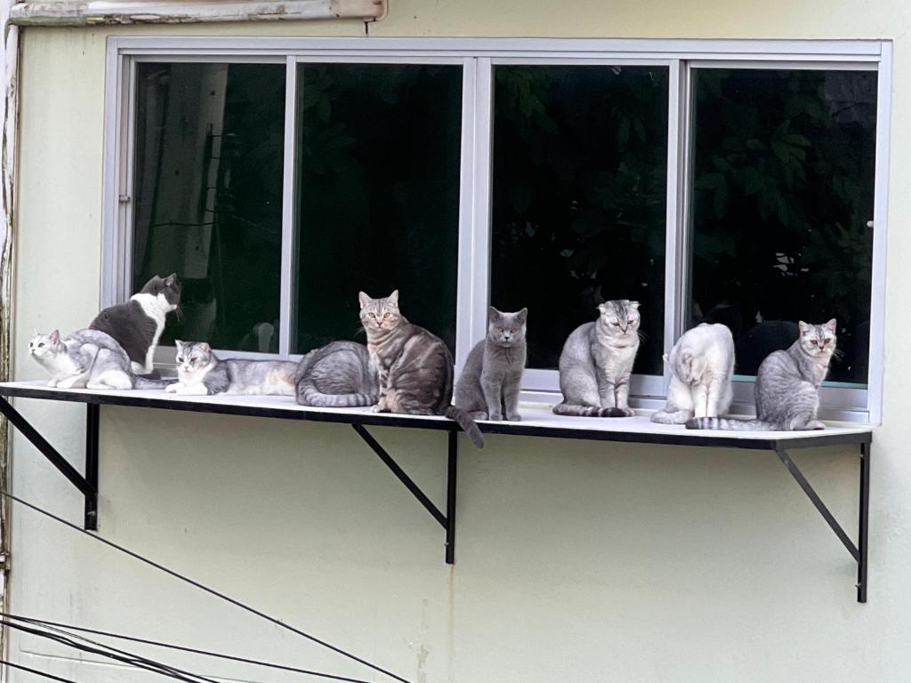 Baan Nilawan Hua Hin Hotel - Resim 27