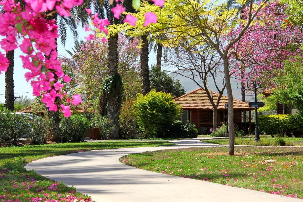 Nir David Country Lodge - Gilboa Chalet