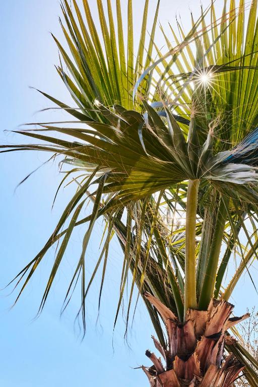 Fotografie z fotogalerie ubytování Finca las Calmas boutique hotel & retreats v destinaci Moraleda de Zafayona