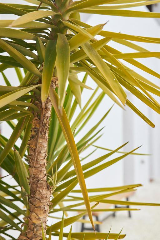 Fotografie z fotogalerie ubytování Finca las Calmas boutique hotel & retreats v destinaci Moraleda de Zafayona