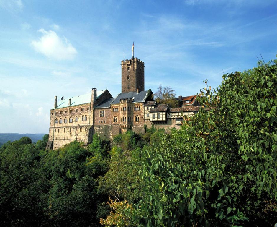 Příroda nedaleko apartmánu