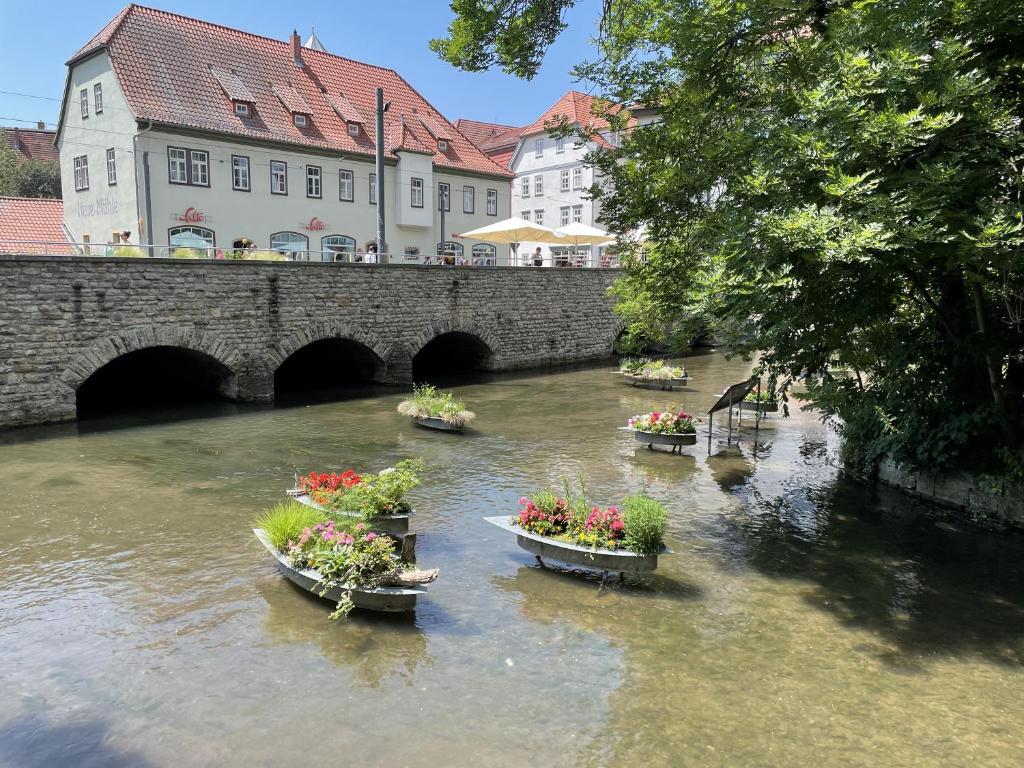 Zajímavé místo poblíž apartmánu