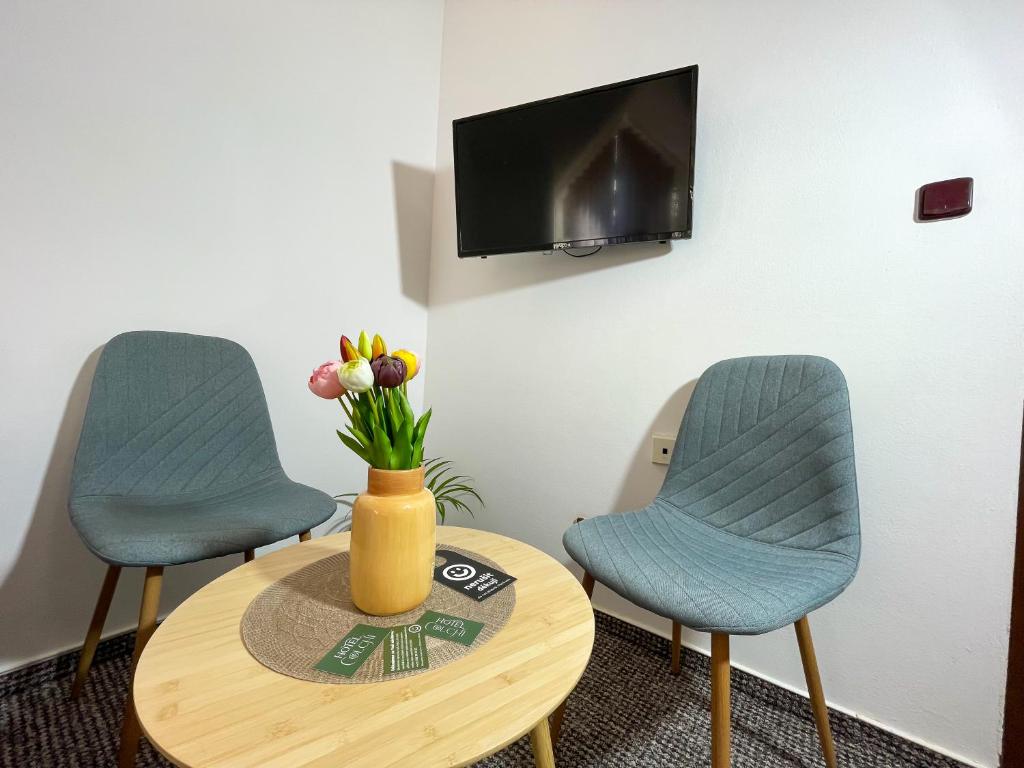 TV a/nebo společenská místnost v ubytování Hotel COLCHI