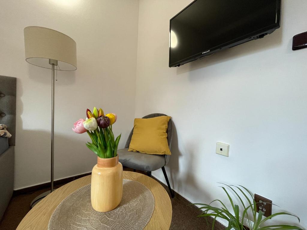 TV a/nebo společenská místnost v ubytování Hotel COLCHI