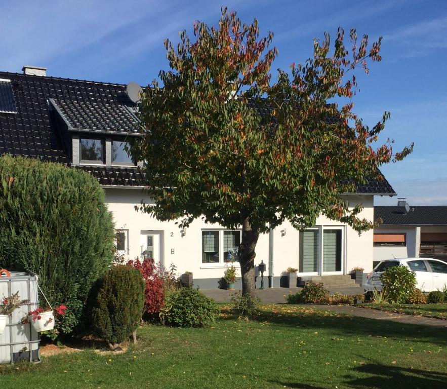 una casa blanca con un árbol en el patio en Ferienwohnung Rüth en Kall