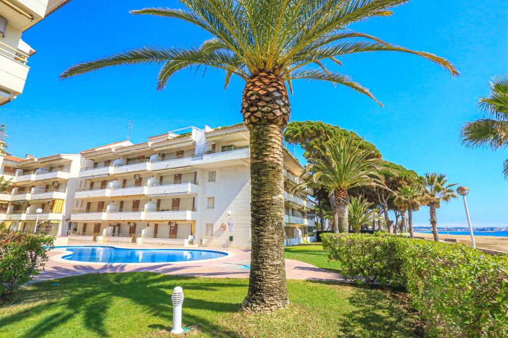LITORAL COSTA DORADA - COLIBRI Only families