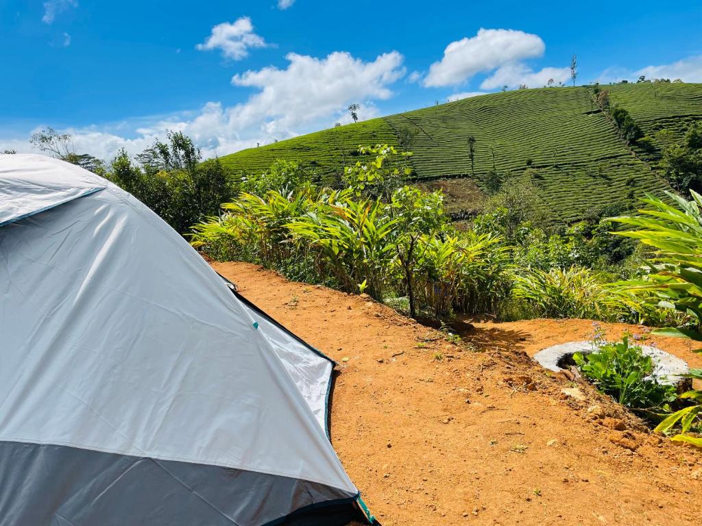 Příroda nedaleko luxury tent
