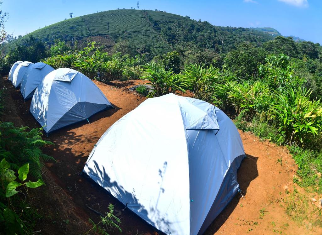 Příroda nedaleko luxury tent