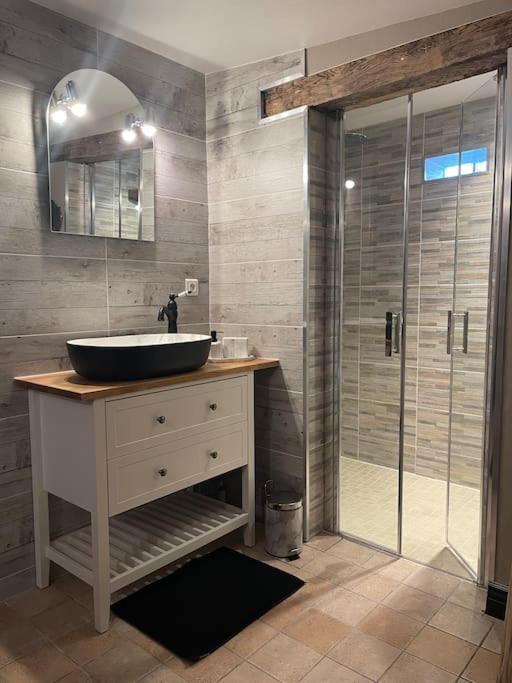 a bathroom with a sink and a glass shower at L’Eden de JoLéo : votre cocon d’amour in Perthes