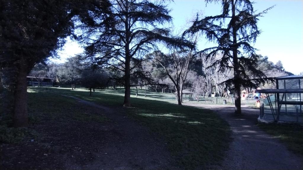 Appartamento Fiore Roma San Pietro - 15