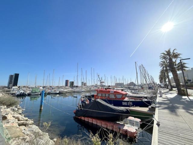 un gruppo di barche ormeggiate in un porto di Joli appartement face au port, accès direct plage 4RP17 a Le Barcarès