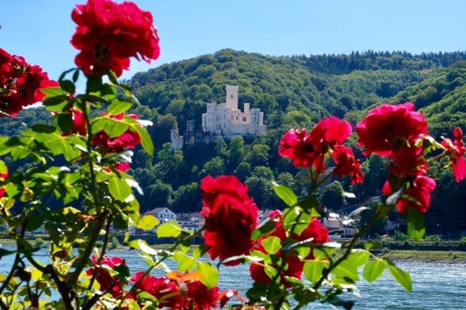 a bunch of red flowers with a castle in the background at Villa Lahr in Lahr