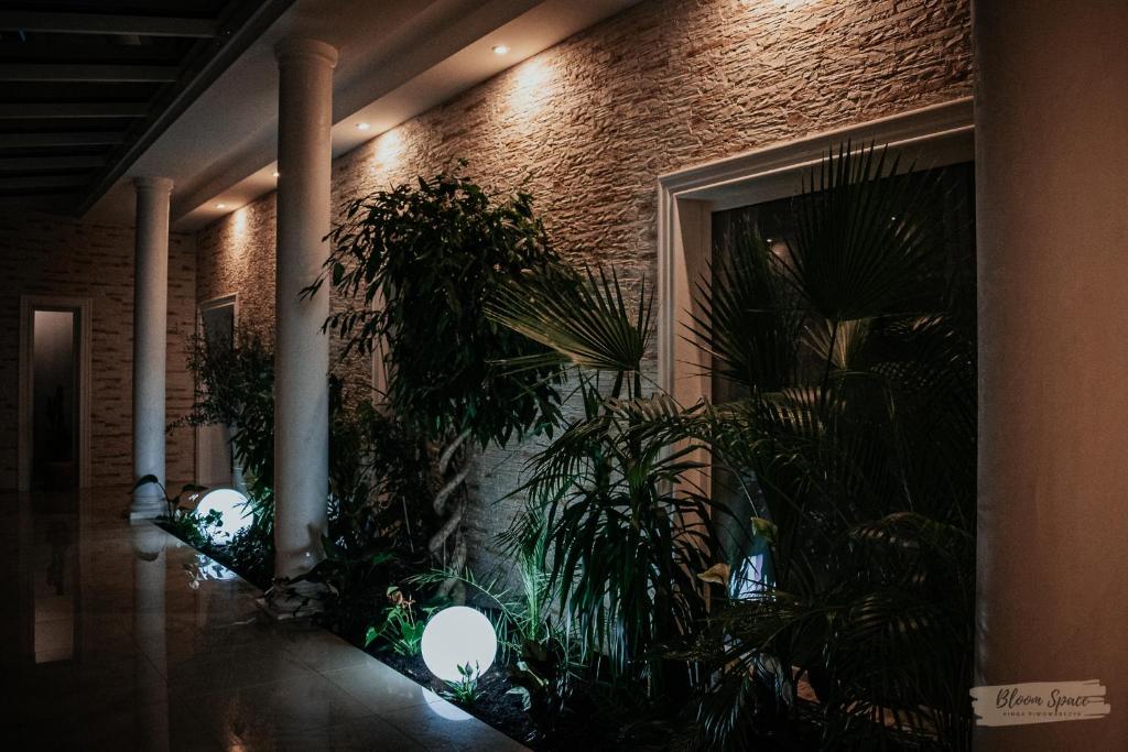 Vonkajšia záhrada v ubytovaní Hotel Millenium