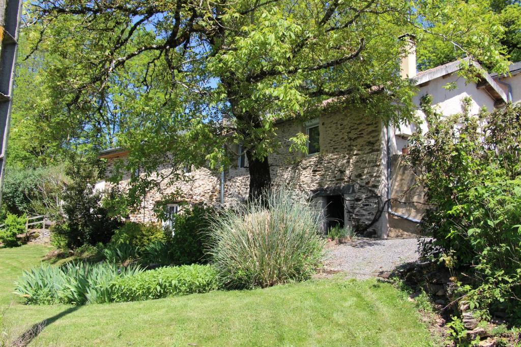 una casa de piedra con un árbol en un patio en Gîte La Valette d'Aurore - animaux bienvenus, 