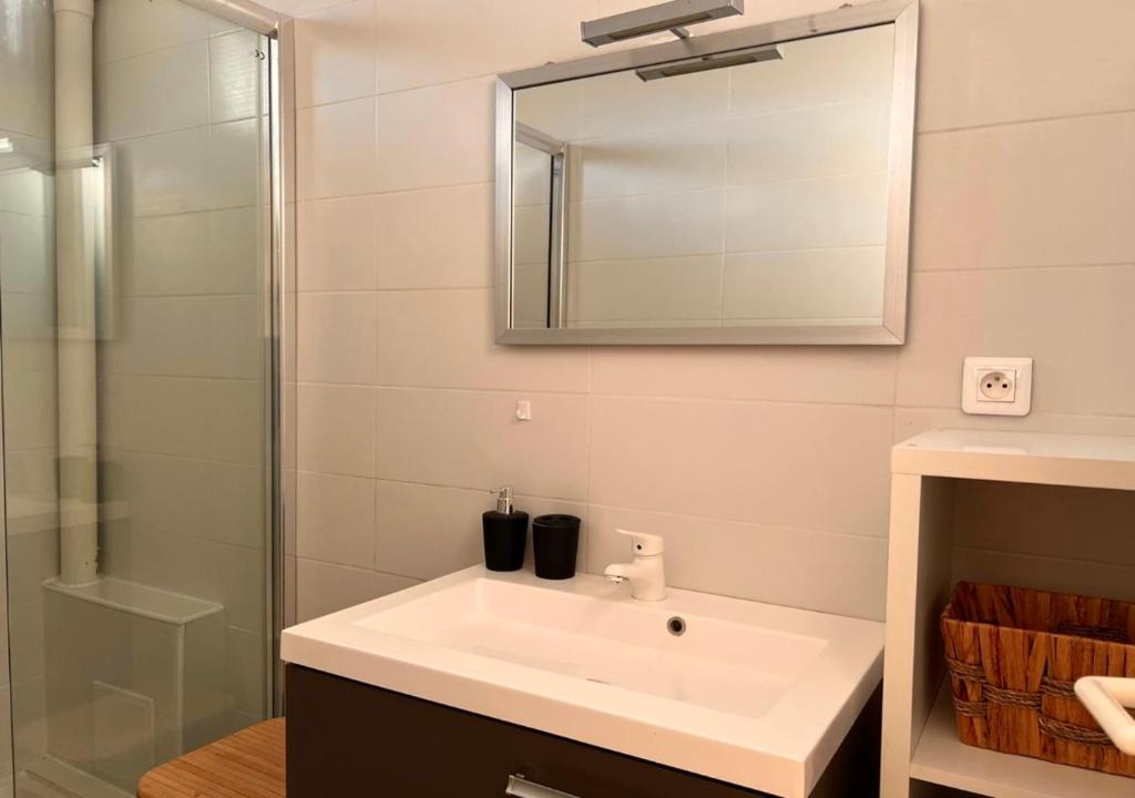 ein Badezimmer mit einem weißen Waschbecken und einem Spiegel in der Unterkunft Le Minimes-Studio Proche - Self check-In & Parking privée in Toulouse